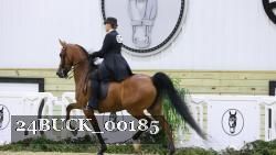 24BUCK_00185 thumbnail