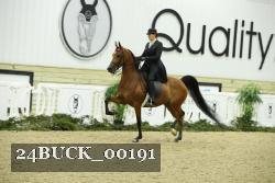 24BUCK_00191 thumbnail