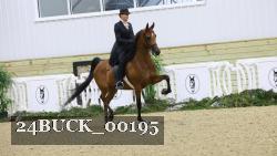 24BUCK_00195 thumbnail