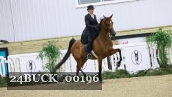 24BUCK_00196 thumbnail