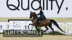 24BUCK_00154 thumbnail
