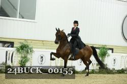 24BUCK_00155 thumbnail