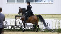 24BUCK_00157 thumbnail