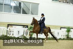 24BUCK_00158 thumbnail