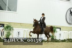 24BUCK_00159 thumbnail
