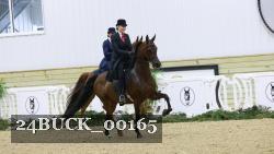 24BUCK_00165 thumbnail