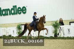 24BUCK_00168 thumbnail