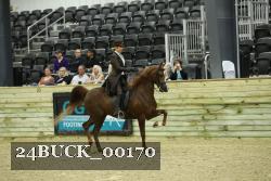 24BUCK_00170 thumbnail