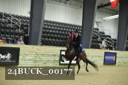 24BUCK_00177 thumbnail
