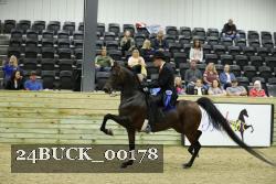 24BUCK_00178 thumbnail