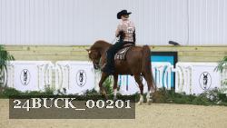24BUCK_00201 thumbnail