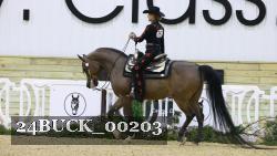 24BUCK_00203 thumbnail