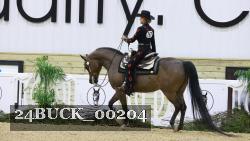 24BUCK_00204 thumbnail