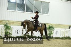 24BUCK_00206 thumbnail