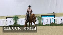 24BUCK_00214 thumbnail