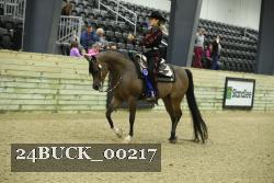 24BUCK_00217 thumbnail