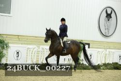 24BUCK_00227 thumbnail
