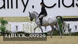 24BUCK_00229 thumbnail