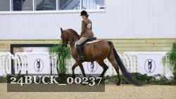 24BUCK_00237 thumbnail