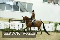 24BUCK_00244 thumbnail