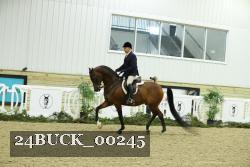 24BUCK_00245 thumbnail