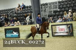 24BUCK_00272 thumbnail