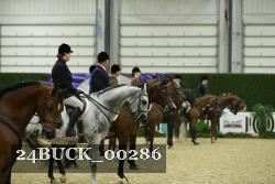 24BUCK_00286 thumbnail