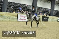 24BUCK_00288 thumbnail