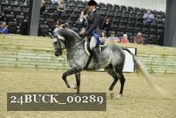 24BUCK_00289 thumbnail