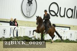 24BUCK_00297 thumbnail