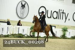 24BUCK_00298 thumbnail