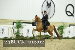 24BUCK_00302 thumbnail