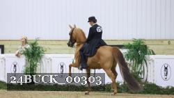 24BUCK_00303 thumbnail