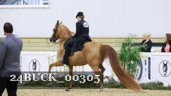 24BUCK_00305 thumbnail
