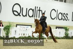 24BUCK_00307 thumbnail