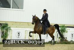 24BUCK_00309 thumbnail