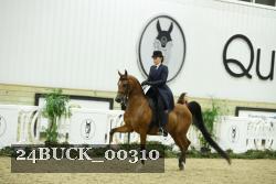 24BUCK_00310 thumbnail
