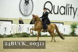 24BUCK_00311 thumbnail