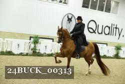 24BUCK_00313 thumbnail