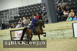 24BUCK_00320 thumbnail