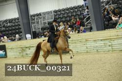 24BUCK_00321 thumbnail