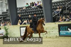24BUCK_00323 thumbnail