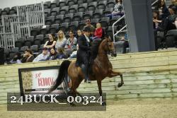 24BUCK_00324 thumbnail