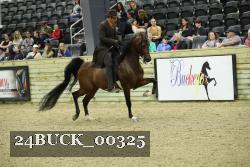 24BUCK_00325 thumbnail