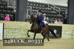 24BUCK_00331 thumbnail