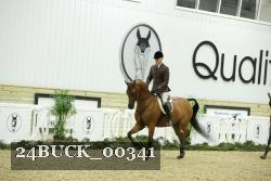 24BUCK_00341 thumbnail