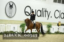 24BUCK_00343 thumbnail
