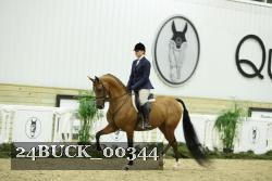 24BUCK_00344 thumbnail
