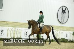 24BUCK_00345 thumbnail