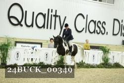 24BUCK_00349 thumbnail